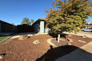 3341 Cardinal Flower Ave, Modesto, CA 95355 - Photo 8