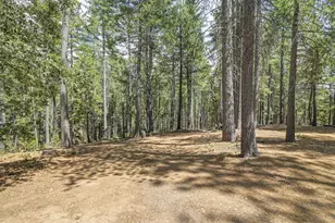 7470 Lion Alley, Georgetown, CA 95634 - Photo 54