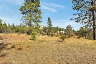 9764 Stackhouse Ln, Oregon House, CA 95962 - Photo 8