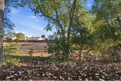 8943 N Camden Drive, Elk Grove, CA 95624 - Photo 94
