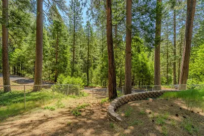 19541 Woodridge Drive, Pioneer, CA 95666 - Photo 26