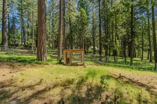 19541 Woodridge Dr, Pioneer, CA 95666 - Photo 12