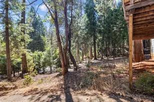 27127 Antelope Dr, Pioneer, CA 95666 - Photo 4