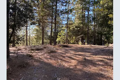 18595 You Bet Rd, Grass Valley, CA 95945 - Photo 12