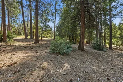 1860 Henrys Place, Camino, CA 95709 - Photo 14