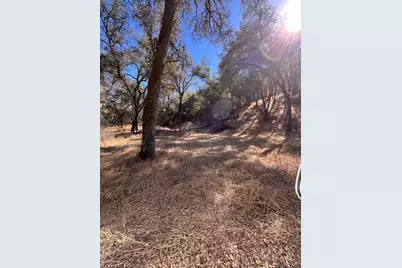 8380 Ascension Lane, Pilot Hill, CA 95664 - Photo 32