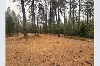 13694 Old Emigrant Trail, Grass Valley, CA 95945 - Photo 8