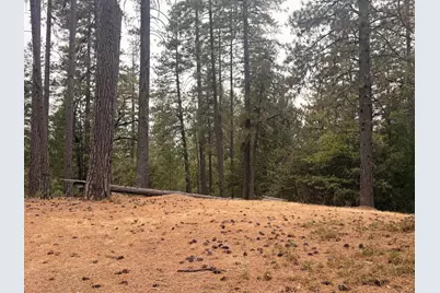 13694 Old Emigrant Trail, Grass Valley, CA 95945 - Photo 12