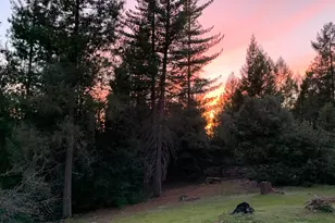 21641 Allan Rd, Volcano, CA 95689 - Photo 60