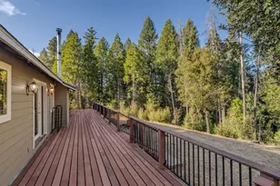 21641 Allan Rd, Volcano, CA 95689 - Photo 6