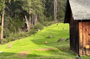 21641 Allan Rd, Volcano, CA 95689 - Photo 62