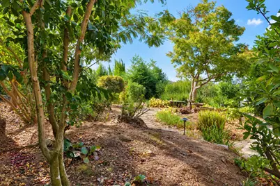 Nugget, Folsom, CA 95630 - Photo 14