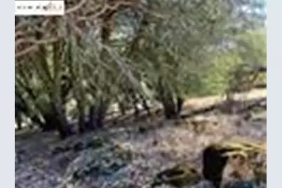 21858 Phoenix Lake Road, Sonora, CA 95370 - Photo 16