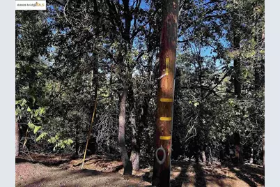 23804 S Oxbow Lane, Sonora, CA 95370 - Photo 24