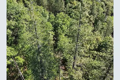 23804 S Oxbow Lane, Sonora, CA 95370 - Photo 6