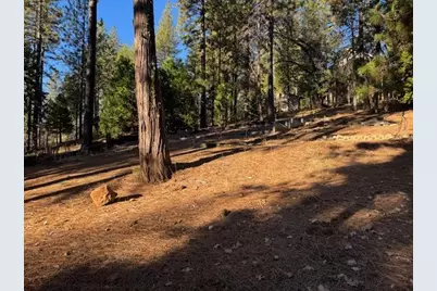 2698 Country Club Drive, Arnold, CA 95223 - Photo 6