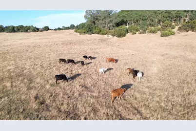 12244 S Camanche Parkway South, Burson, CA 95225 - Photo 1