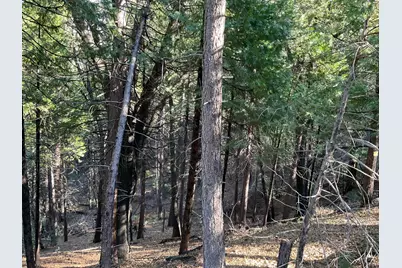 369 Canyon View Drive, Hathaway Pines, CA 95233 - Photo 4