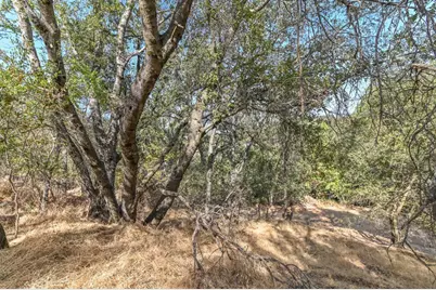 0 Raspberry Lane, Angels Camp, CA 95222 - Photo 14
