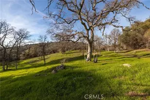 33940 Jennifer Way, Coarsegold, CA 93614 - Photo 48