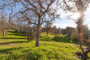 33940 Jennifer Way, Coarsegold, CA 93614 - Photo 44
