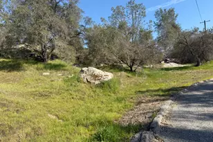 0 Long Hollow Dr, Coarsegold, CA 93614 - Photo 1