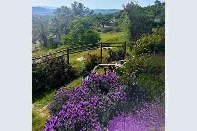 41915 John Muir Drive, Coarsegold, CA 93614 - Photo 12