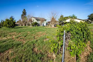 3942 E Marcus Ave, Friant, CA 93626 - Photo 26