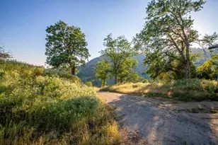 35032 George Smith Rd, Squaw Valley, CA 93675 - Photo 4