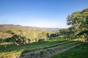 35032 George Smith Rd, Squaw Valley, CA 93675 - Photo 38