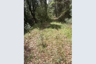 39 Anderson Valley Road, Coulterville, CA 95311 - Photo 4
