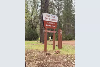 39 Anderson Valley Road, Coulterville, CA 95311 - Photo 8