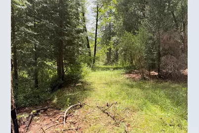 39 Anderson Valley Road, Coulterville, CA 95311 - Photo 20