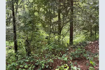 39 Anderson Valley Road, Coulterville, CA 95311 - Photo 2