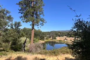 16 Lulniu Ln, Ahwahnee, CA 93601 - Photo 1