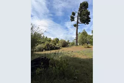 29 Manzanita Drive, Oakhurst, CA 93644 - Photo 4