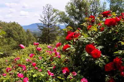 5603 Clouds Rest Road, Mariposa, CA 95338 - Photo 58