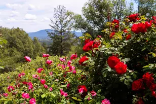 5603 Clouds Rest Rd, Mariposa, CA 95338 - Photo 58