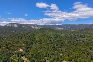 50824 Smoke Tree Trail, Bass Lake, CA 93604 - Photo 38