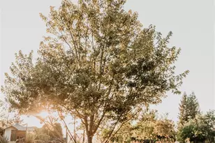 49100 Wickersham Rd, Geyserville, CA 95441 - Photo 8