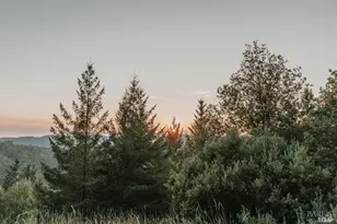 49100 Wickersham Rd, Geyserville, CA 95441 - Photo 16