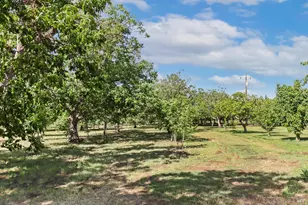 9192 Boyce Rd, Winters, CA 95694 - Photo 58
