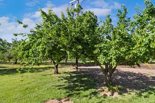 9192 Boyce Rd, Winters, CA 95694 - Photo 46