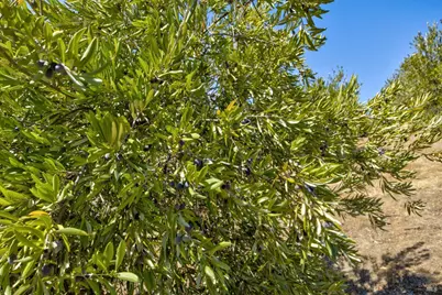 1280 W St. Hwy 20 Street, Upper Lake, CA 95485 - Photo 62