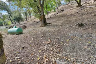 19 Juniper Dr, Napa, CA 94558 - Photo 50