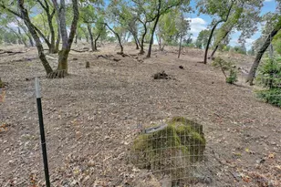 19 Juniper Dr, Napa, CA 94558 - Photo 42