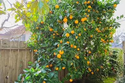 3816 Jefferson Street, Napa, CA 94558 - Photo 16