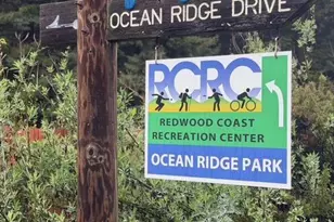 38350 Old Stage Rd, Gualala, CA 95445 - Photo 30