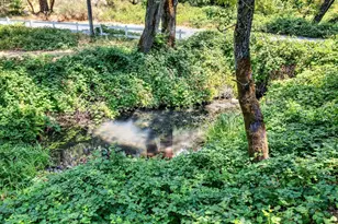 16451 Golf Rd, Cobb, CA 95426 - Photo 76