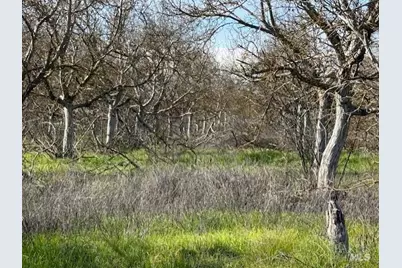 9415 Stevenson Bridge Road, Winters, CA 95694 - Photo 6